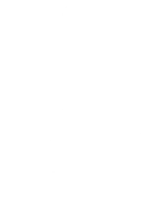 TAD Private Touren